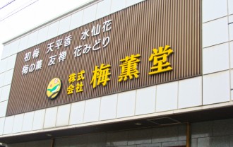 Baikundo Head Office