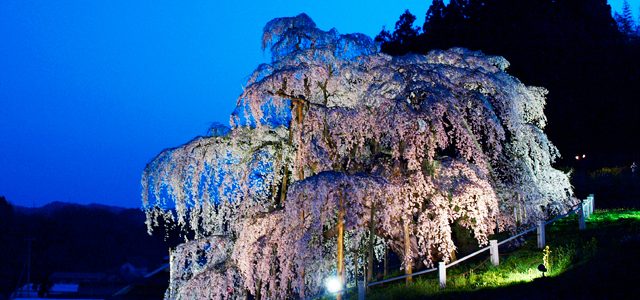 梅薫堂 | 創業嘉永三年 四つの時代を越え未来へとつづく淡路島匠の香り